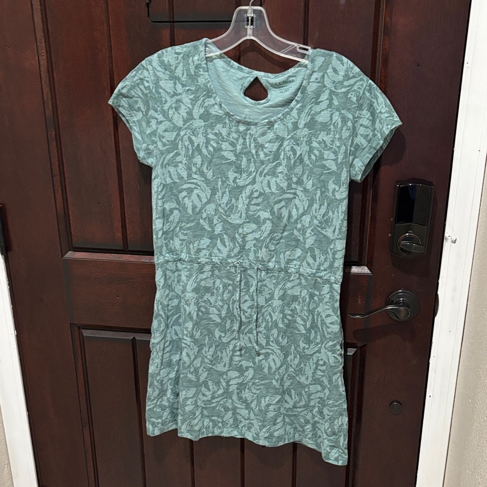 L.L. Bean Green Striped Dress XSP